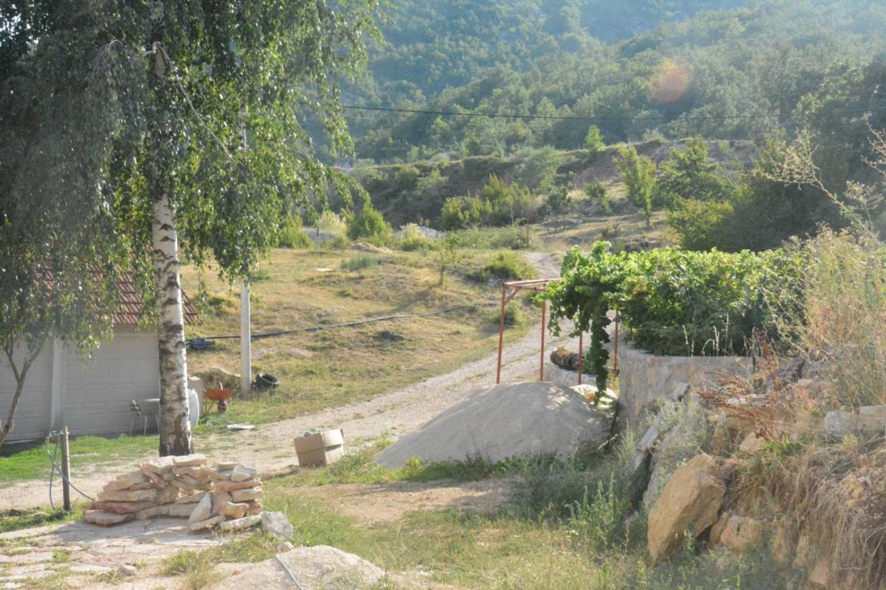 Gazdinstvo Tadic Guest House Niksic Exterior photo
