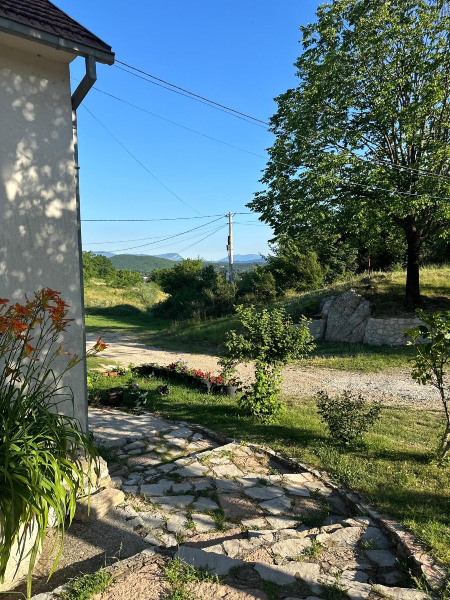 Gazdinstvo Tadic Guest House Niksic Exterior photo